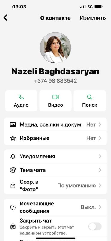 Пресс-секретарь премьер-министра Армении Назели Багдасарян на брифинге