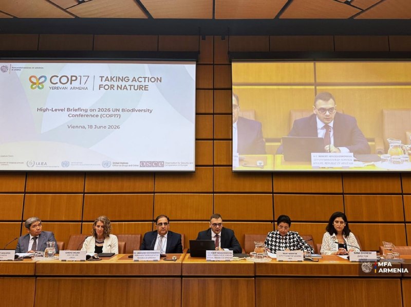 Брифинг в Венском офисе ООН по подготовке COP17 в Ереване