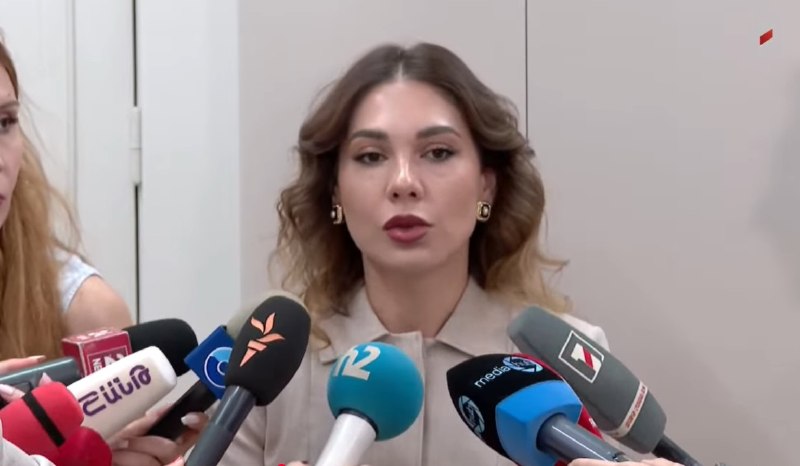Србуи Галян на брифинге для журналистов обсуждает Конституцию