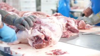 Производственный цех компании «Атенк» в Армении
