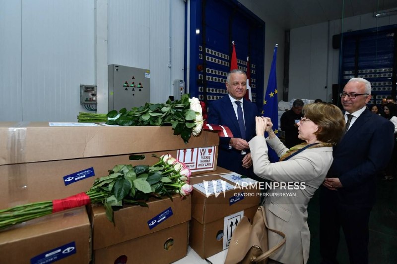Армянские розы, экспортированные в Латвию, первая партия 5500 цветов
