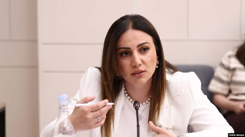 Арусяк Манавазян и Артур Ованнисян, кандидаты на пост главы фракции «Гражданский договор»