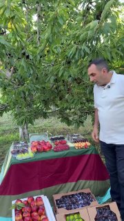 Первая партия армянских фруктов, отправленная в ОАЭ компанией Araratyan Farm